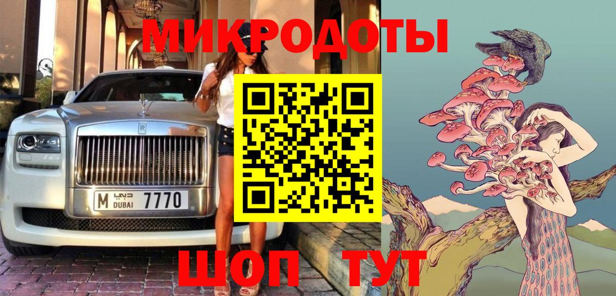 Псилоцибиновые грибы мицелий Бердск