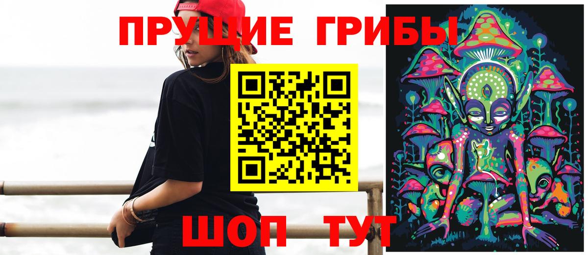 Псилоцибиновые грибы MAGIC MUSHROOMS  Вход с VPN  цена   Бердск  Псилоцибиновые грибы мицелий 